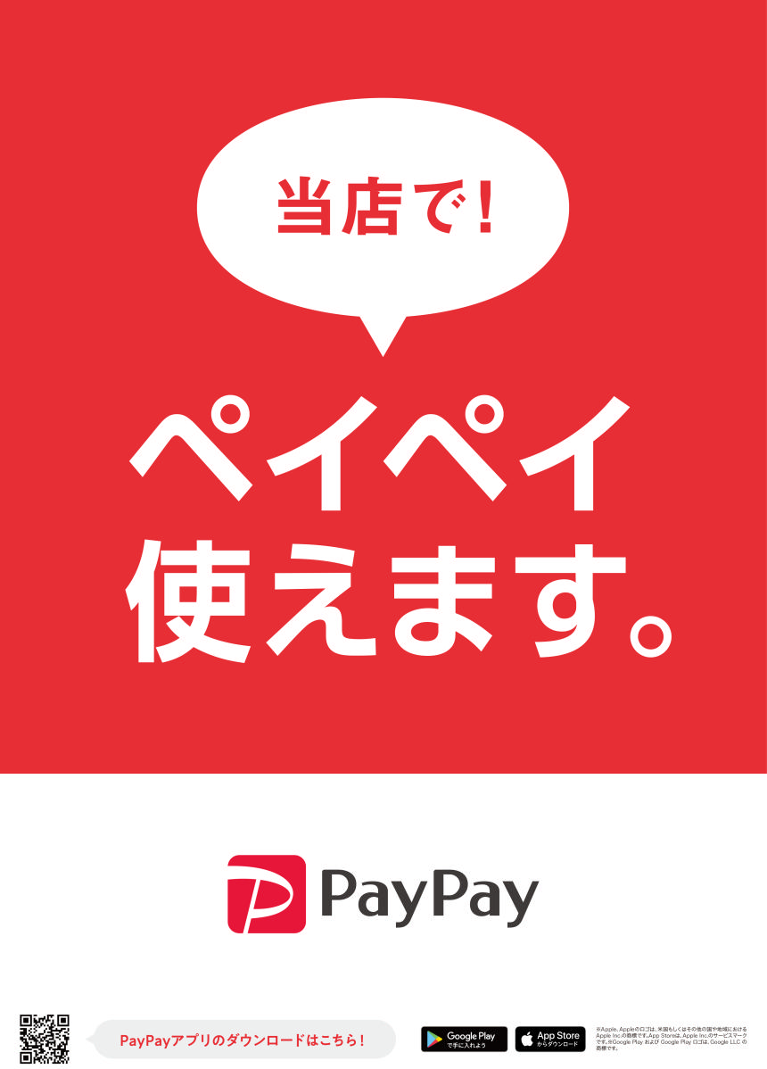 PayPayA3.png